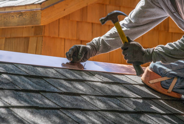 Best Roof Moss and Algae Removal  in Justin, TX
