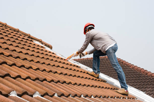 Best Roof Insulation Installation  in Justin, TX